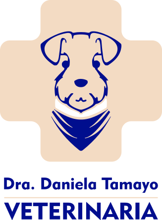 Logo doctora Daniela Tamayo